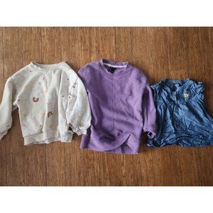 Size 5T Girl's Shirt Bundle 1B